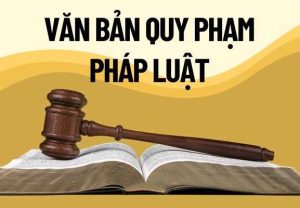 văn bản pháp luật
